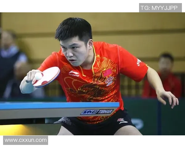 深入分析成都乒乓球队的节奏打法与战术特点